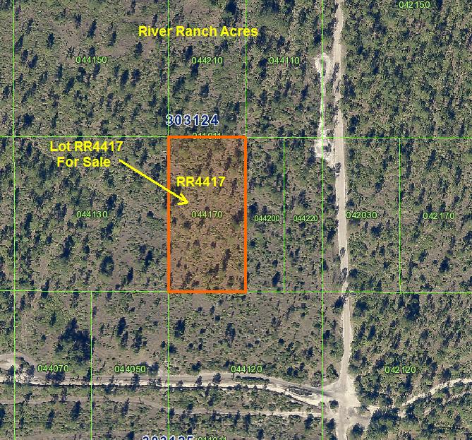 River Ranch Acres atv camp hunt RRPOA RR lot for sale