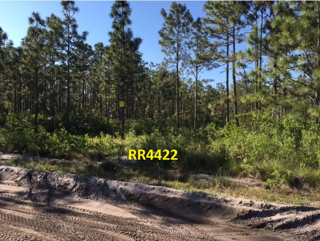 River Ranch Acres camp lot for sale RRPOA